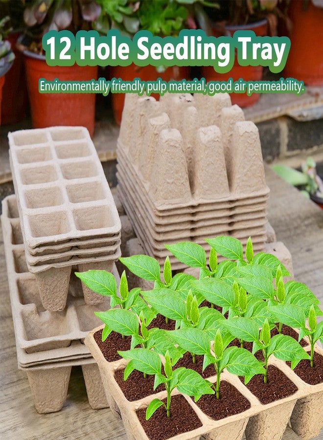 Doubleggs 240 Cells Seed Starter Tray, 20 Packs Biodegradable Peat Pots for Seedlings, Organic Germination Plant Starter Kit with 200 Labels and 2 Transplant Tools - Image 5