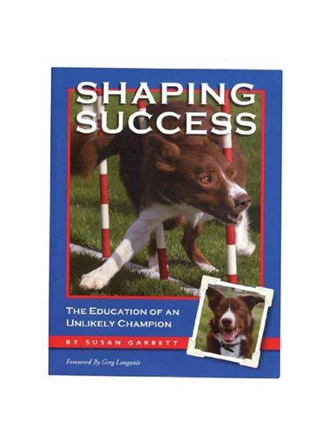 Shaping Success 