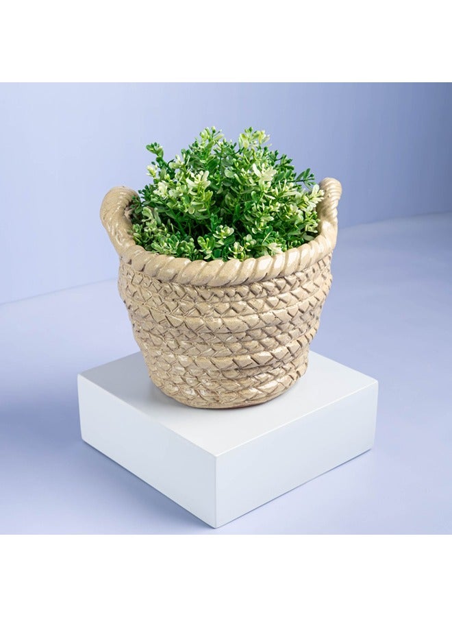 Home Pro Weaved Basket Plant Pot