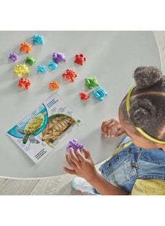 hand2mind Tactile Turtles Math Activity Set Toddler Numbers And Counting Math Counters For Kids Color Sorting Toys Sensory Turtle Game Preschool Learning Activities Montessori Math Materials  - Image 5