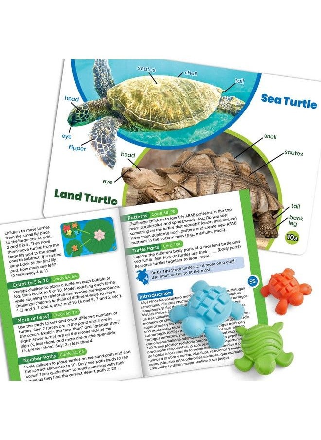 Tactile Turtles Math Activity Set Toddler Numbers And Counting Math Counters For Kids Color Sorting Toys Sensory Turtle Game Preschool Learning Activities Montessori Math Materials