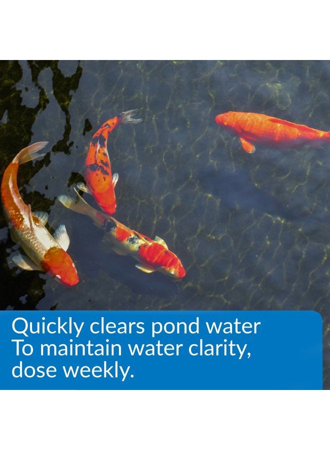 API PondCare POND ACCU-CLEAR Pond Water Clarifier 32-Ounce Bottle (142G), Black - Image 2