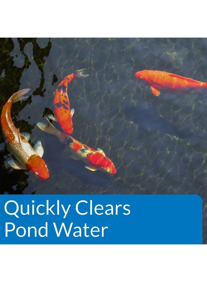 API PondCare POND ACCU-CLEAR Pond Water Clarifier 32-Ounce Bottle (142G), Black - Image 3