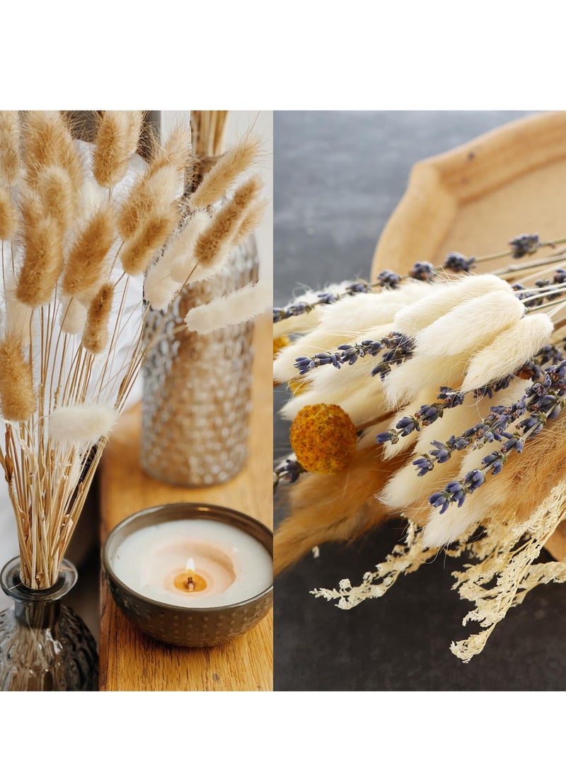 SOLARAE 125pcs Natural Dried Pampas Grass Bouquets 17 inch Various Fluffy Reed Pampas Bunny Tail Grass Dried Plant Wedding Flower Bulrush Decors Photography Farmhouse Store DIY Decoration - Image 5