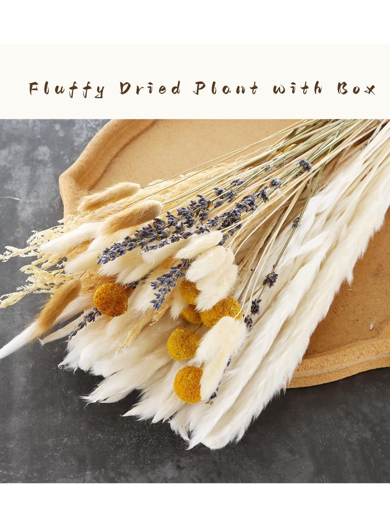 SOLARAE 125pcs Natural Dried Pampas Grass Bouquets 17 inch Various Fluffy Reed Pampas Bunny Tail Grass Dried Plant Wedding Flower Bulrush Decors Photography Farmhouse Store DIY Decoration - Image 3