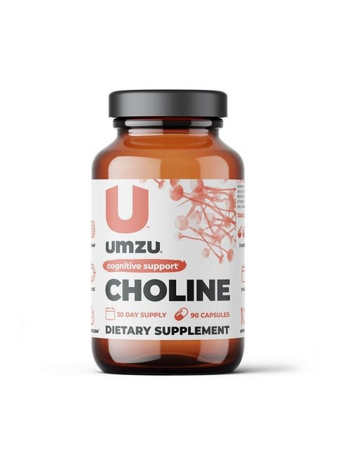 Choline Cognitive  Hormonal Supplement To Support Cognition Nervous System Function Healthy Hormonal Balance And Metabolism 30 Day Supply 90 Capsules