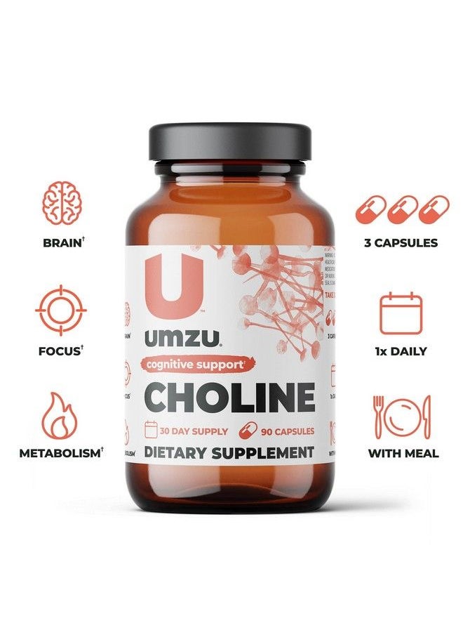 UMZU - Choline Cognitive  Hormonal Supplement To Support Cognition Nervous System Function Healthy Hormonal Balance And Metabolism 30 Day Supply 90 Capsules - Image 1