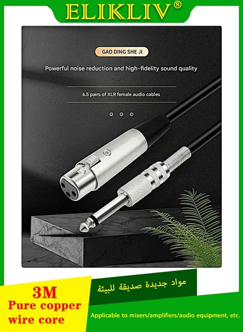6.5mm to XLR Female Audio Cable - Professional Mixing Console Microphone Cable, Selected by NOON Saudi Arabia