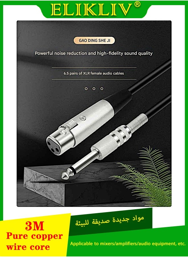 اليكليڤ كابل صوتي 6.5 مم إلى XLR أنثوي - كابل ميكروفون مخصص لجهاز خلط الصوت الاحترافي، مختار من NOON في السعودية  - Image 1