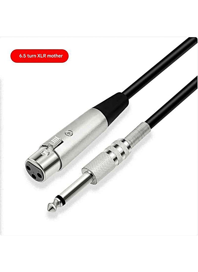 اليكليڤ كابل صوتي 6.5 مم إلى XLR أنثوي - كابل ميكروفون مخصص لجهاز خلط الصوت الاحترافي، مختار من NOON في السعودية  - Image 4