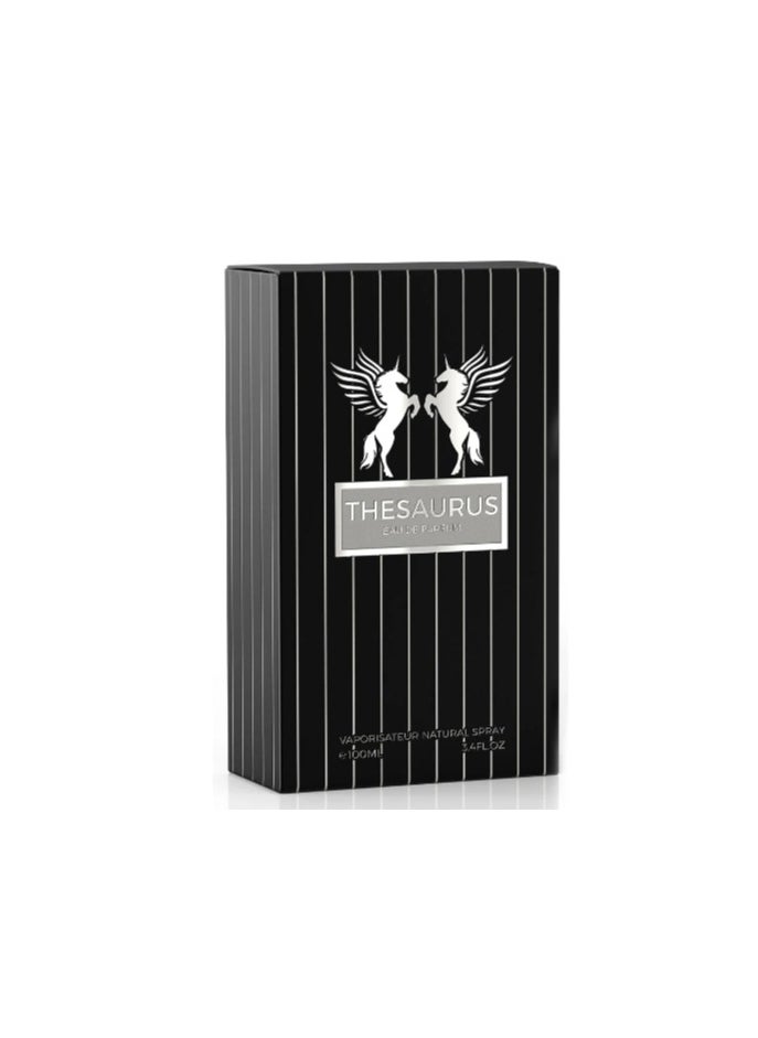 Emper THESAURUS EDP For Men 100ml  - Image 3