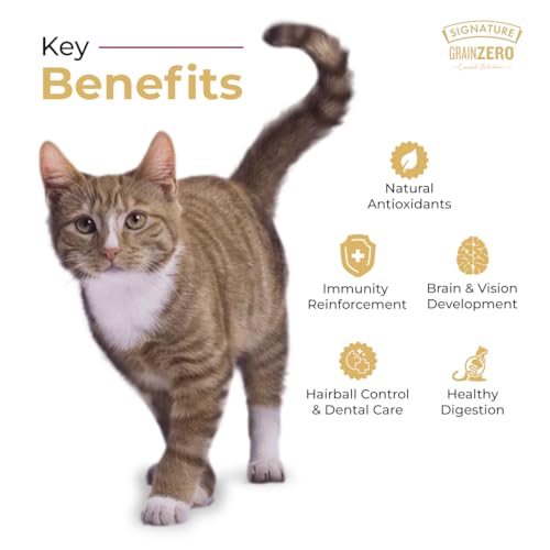 Grain Zero Adult Dry Cat Food 1.2kg | Ocean Fish, Sardine & Mackerel | 48% Fresh Fish Inclusion | Grain-Free & Gluten-Free | Promotes Healthy Skin & Coat | Suitable for All Breeds - Image 5