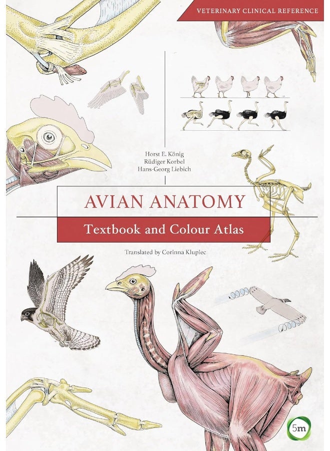 Avian Anatomy: Textbook and Colour Atlas - Image 2