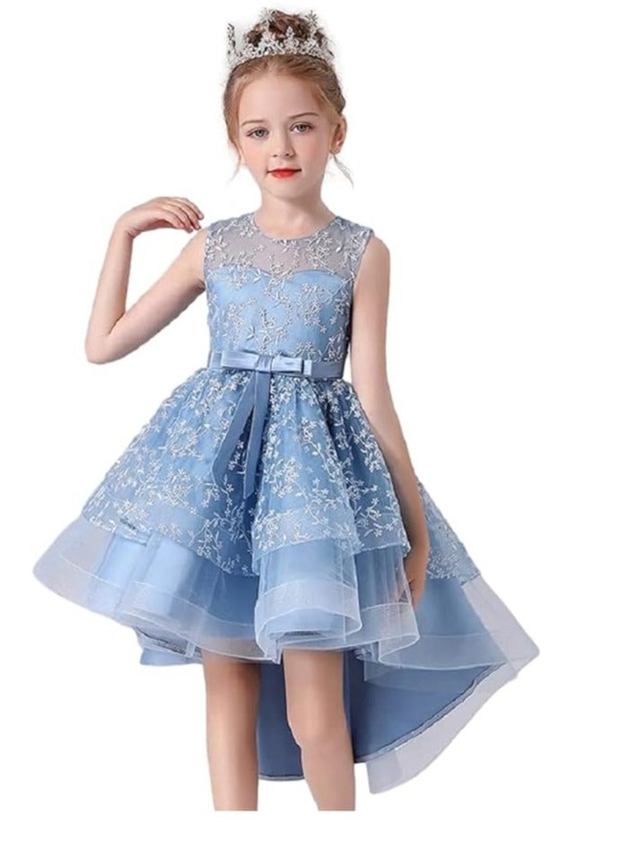 3D Embroidered Flowers Princess Lace Dress for Girls Birthday Party Prom Girl's Special Occasion Performances Host Evening Gown  - Image 1