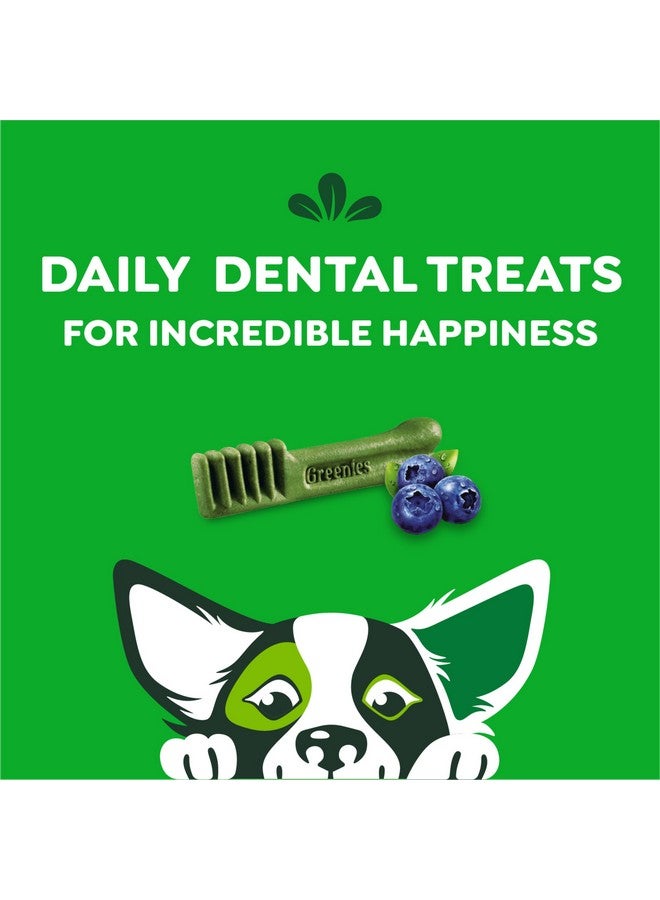 Greenies Petite Natural Dental Care Dog Treats Blueberry Flavor, 12 oz. Pouch (20 Treats) - Image 5