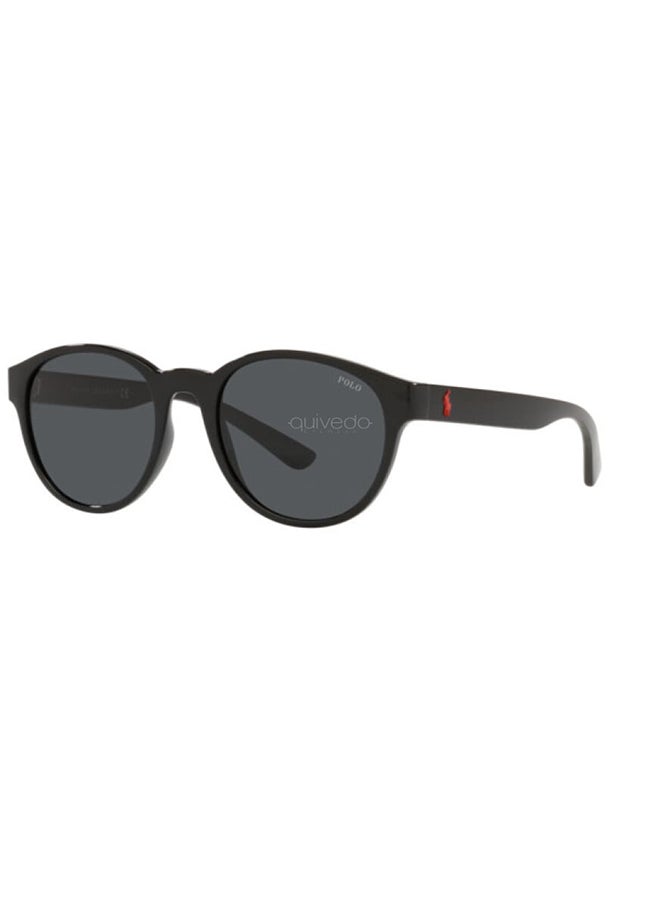 POLO RALPH LAUREN - Men Sunglasses - PH4176 5523/87 51 - Lens Size: 51 millimeter - Image 1