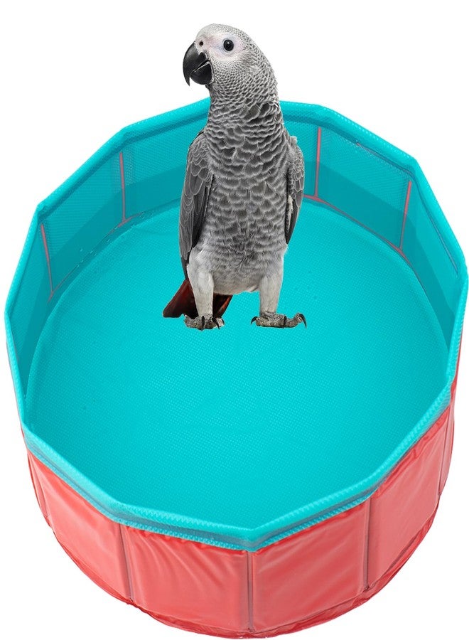 FlidRunest Conure Bathtub for Outdoor, Portable Parrot Bath Tub for Traver, Easy to Store and Carrier, Bird Pool Bathing Tub for Small to Large Birds African Grey Conure Lovebird Parakeet - Image 2
