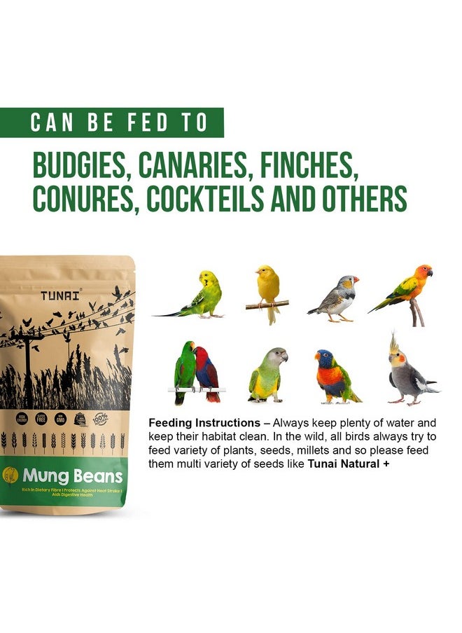 Mung Beans Bird Food, All Life Stages, Natural Seeds - Unculled | Best Bird Feed For Canaries, Finches, Budgies, Parakeets, Parrotlets, Conures, Eclectus, Senegals, Parrots, Cockatiels - 450G - pzsku/Z61D95605547EBF9D9AE0Z/45/_/1735817843/7a8fbfe8-83e6-4dcb-9b3a-0989dfeae652