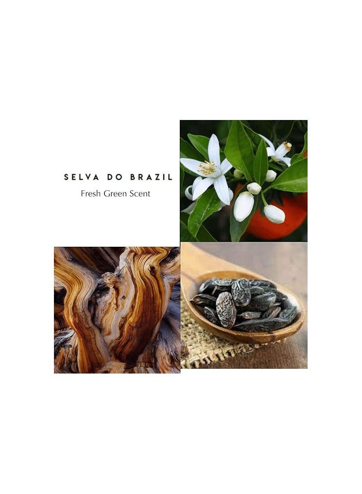 Berdoues Selva Do Brazil Parfum EDP 100ML - Image 4