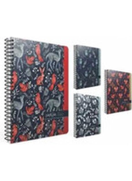 Gıpta North Star Sp Hard Kpk Def 17X24 120 Yp Square (1 Piece) 