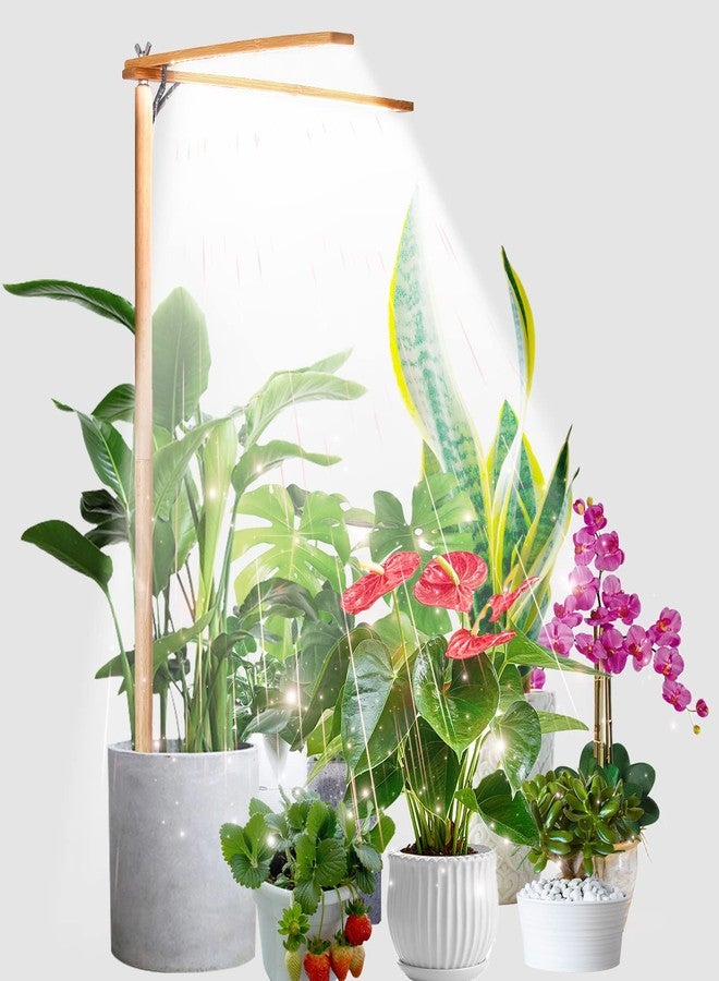 bodkar Wooden Grow Lights for Indoor Plants Full Spectrum, Slim Indoor Plant Growing Light with 6000K White Red LEDs 2-Head (Without Timer/Dimming) - Image 1