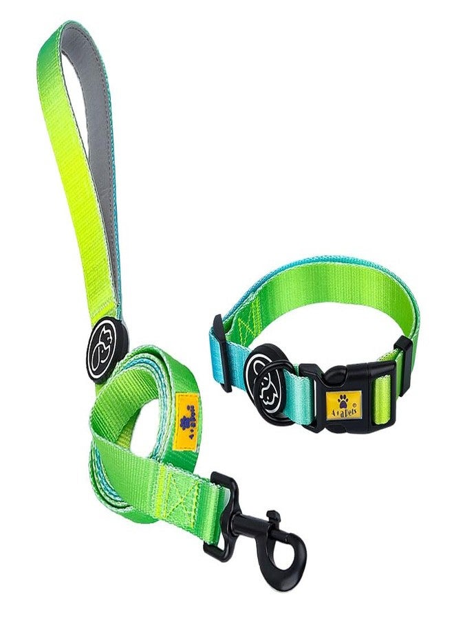 A+a Pets' Skin-Friendly Buckle Dog Collar & Leash Combo for Dogs Cats - Durable, Adjustable, Soft, Neoprene Padded Handle (Gradient Design Green, S) - Image 1