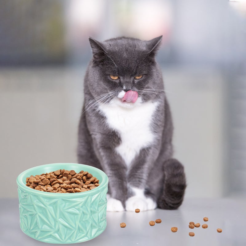2pcs Neck Pet Feeder Ceramic Cat Bowl Cat Food Bowl Anti-Skid Feeder - Image 3