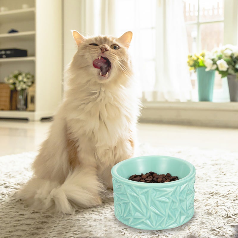 2pcs Neck Pet Feeder Ceramic Cat Bowl Cat Food Bowl Anti-Skid Feeder - Image 4