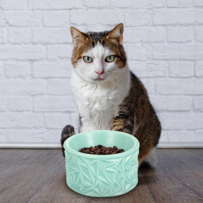 2pcs Neck Pet Feeder Ceramic Cat Bowl Cat Food Bowl Anti-Skid Feeder - Image 5