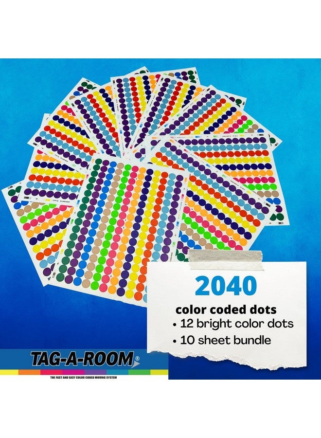 تاج-أه-روم 2040 ملصقات نقاط ملونة، ملصقات ترميز ملونة دائرية مقاس 1/2 بوصة، ملصقات نقاط دائرية للمكاتب والفصول الدراسية والورق وما إلى ذلك، 14 لونًا ساطعًا، 8 1/2 × 11 ورقة. - Image 2