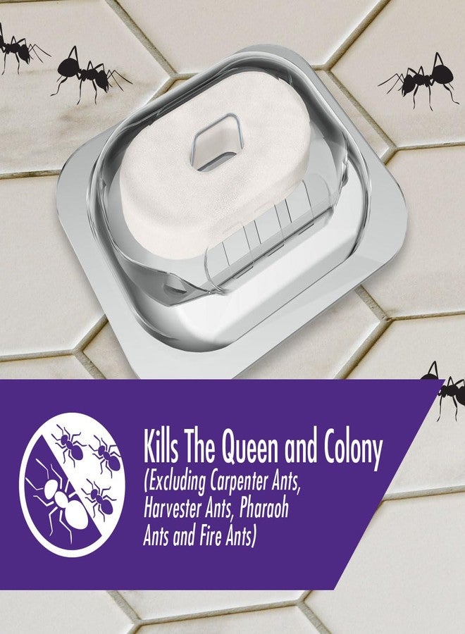 STEM Liquid Ant Baits, Kills The Queen and Colony, for Indoor Use, 4 Spill Proof Bait Stations - Image 2