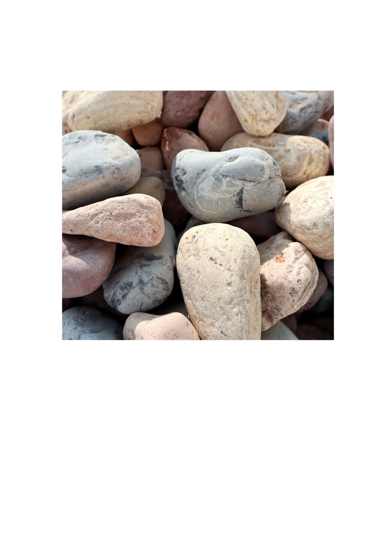 KNP Mix Color River stone Natural Garden Material 5-8 CM 10KG - Image 3