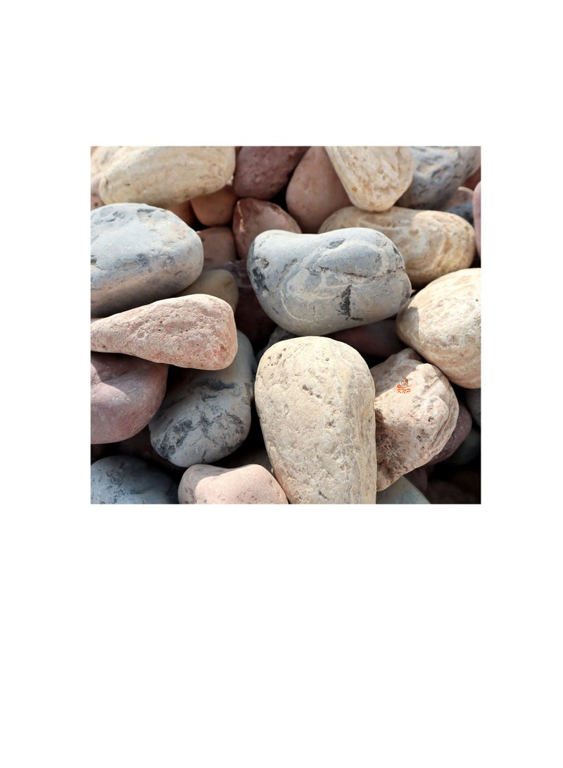 KNP Mix Color River stone Natural Garden Material 5-8 CM 10KG - Image 2