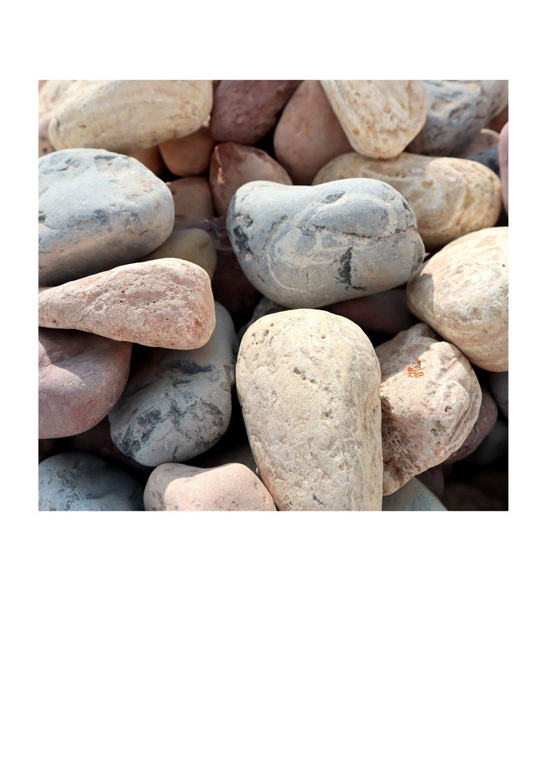 KNP Mix Color River stone Natural Garden Material 5-8 CM 10KG - Image 1
