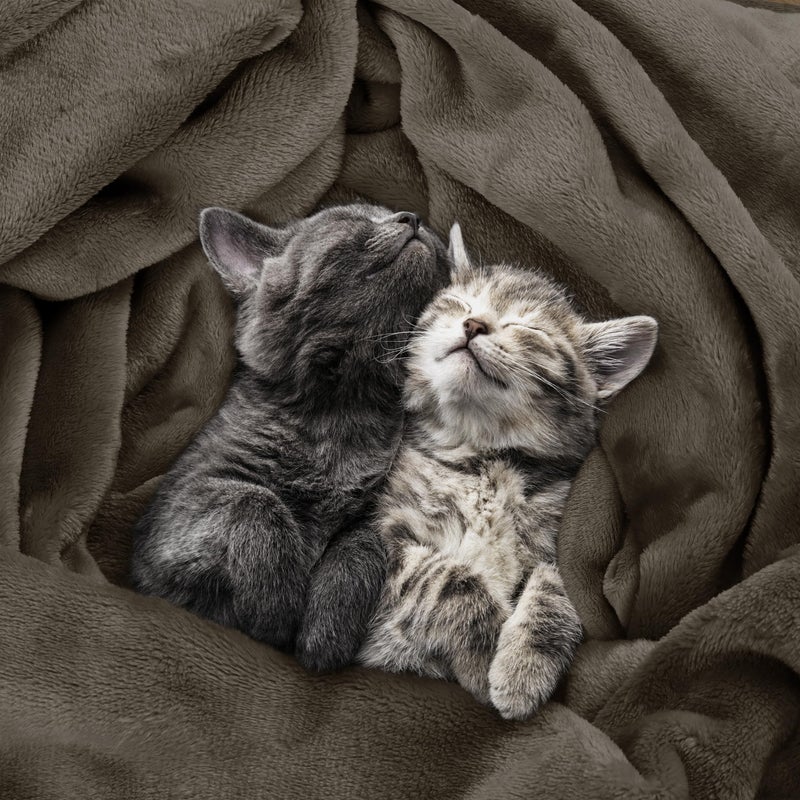 Utopia Bedding Fleece Blanket Queen Size Brown 300GSM Luxury Fuzzy Soft Anti-Static Microfiber Bed Blanket (90x90 Inch) - Image 5