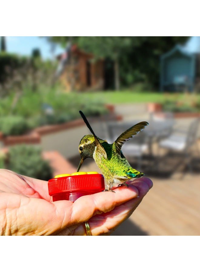 ZHBDMGK Hand Hummingbird Feeder, 4Pcs Mini Flower Hand held Hummingbird Feeder with 4Pcs Cleaning Brush, Window Humming Wild Bird Feeders for Outdoor Supplies - Image 5