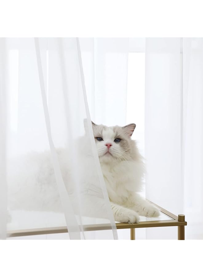erorex Window Sheer White Curtains 45 Inches Long 42 Inches Width 2 Panels Sheer Curtains Sheer Curtain Clear Basic Rod Pocket Panel 15 Colors 16 Size For Bedroom Living Room Yard Kitchen - Image 2