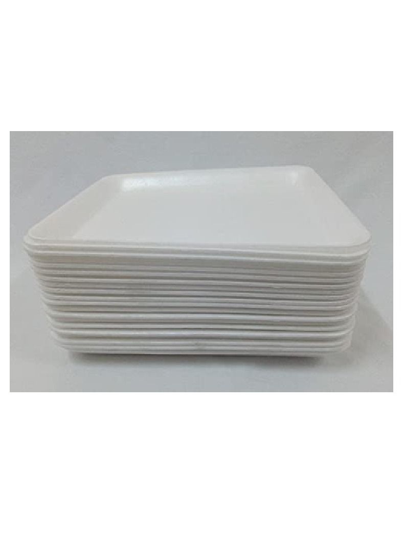 100-piece disposable foam plates - Image 2