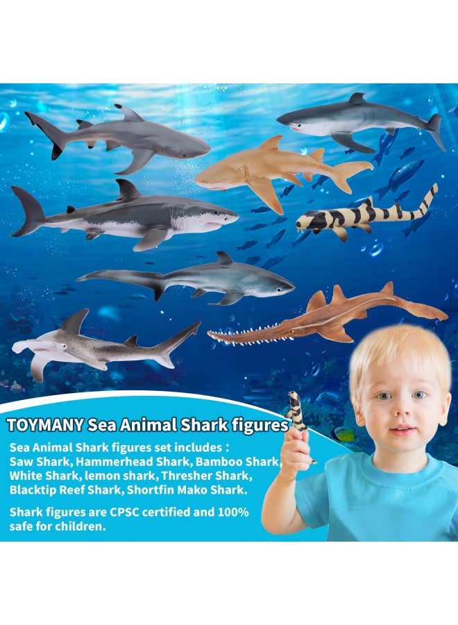 TOYMANY ألعاب تويماني 8 قطع تماثيل سمك القرش، مخلوقات بحرية واقعية لعبة سمك القرش للأطفال من 3-5 و 6-12، حيوانات بحرية لصبي أو فتاة، زينة كعكة سمك القرش، تماثيل تعليمية (5 * 3 إنش)  - Image 3