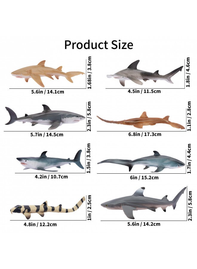 TOYMANY ألعاب تويماني 8 قطع تماثيل سمك القرش، مخلوقات بحرية واقعية لعبة سمك القرش للأطفال من 3-5 و 6-12، حيوانات بحرية لصبي أو فتاة، زينة كعكة سمك القرش، تماثيل تعليمية (5 * 3 إنش)  - Image 4