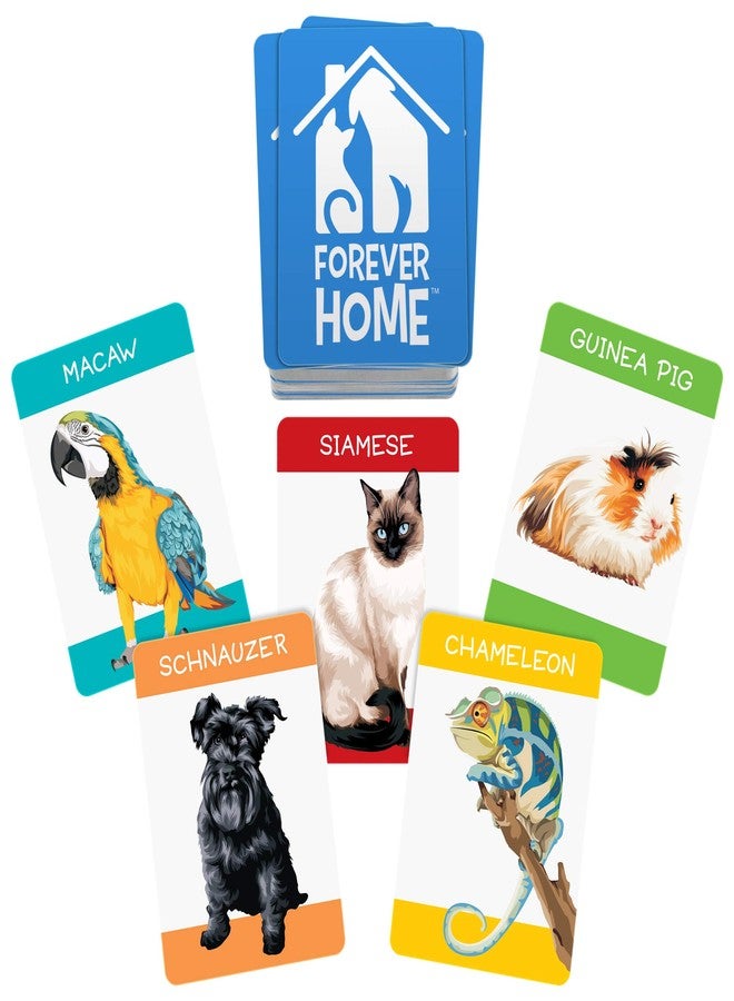 Funwares Forever Home - Animal Card Game for Ages 7 and Up, 2-6 Players - Image 2