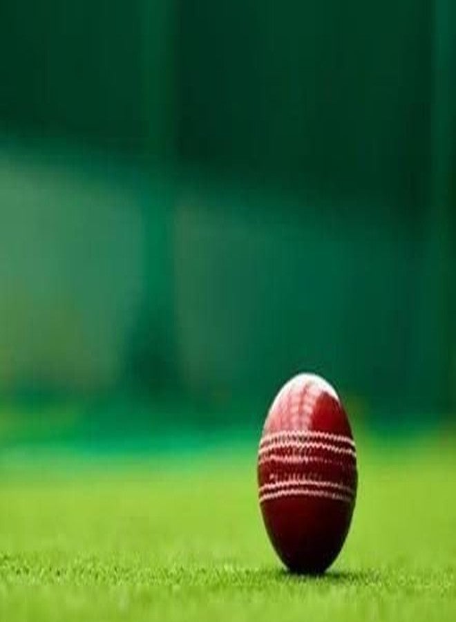 Owlix Cricket Red Leather Ball - Pack of 4 Synthetic Match Cricket Balls - Image 3
