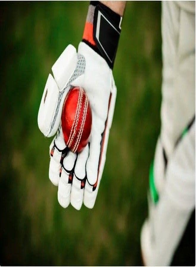 Owlix Cricket Red Leather Ball - Pack of 4 Synthetic Match Cricket Balls - Image 5