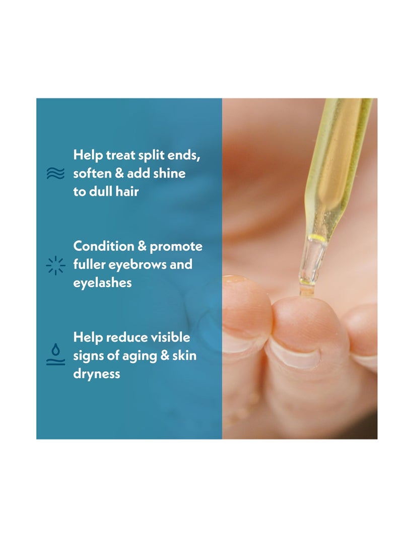 Eve Hansen - Eve Hansen Organic Castor Oil USDA Certified | Pure Carrier Oil for Eyelashes, Eyebrows, Hair, and Skin with Applicator (2oz) - Image 1