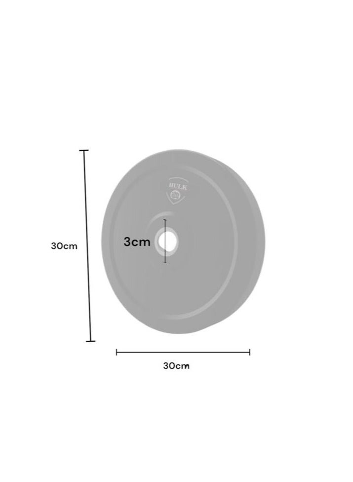 One Hulk Dumbbell Plate – Weight: 10 kg