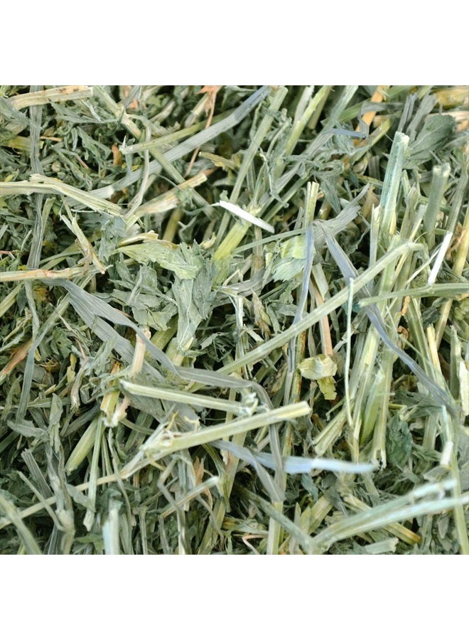 Oxbow علف البرسيم لصحة الحيوانات، للأرانب، خنازير غينيا، والحيوانات الأليفة الصغيرة، مزروع في الولايات المتحدة، مختار يدويًا ومصنف يدويًا، 15 أونصة - Image 5