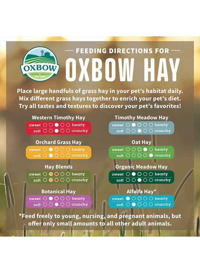 Oxbow علف البرسيم لصحة الحيوانات، للأرانب، خنازير غينيا، والحيوانات الأليفة الصغيرة، مزروع في الولايات المتحدة، مختار يدويًا ومصنف يدويًا، 15 أونصة - Image 4