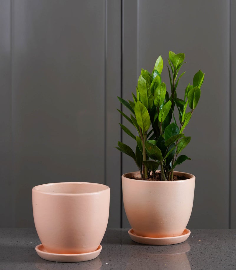 Nurturing Green® Set of 2 Modern Blush Pink Ceramic Pots for Home & Indoor Decor (Size: 5 Inch Wide | Comes with Bottom Plate) - [Plants are not Included] - Image 4