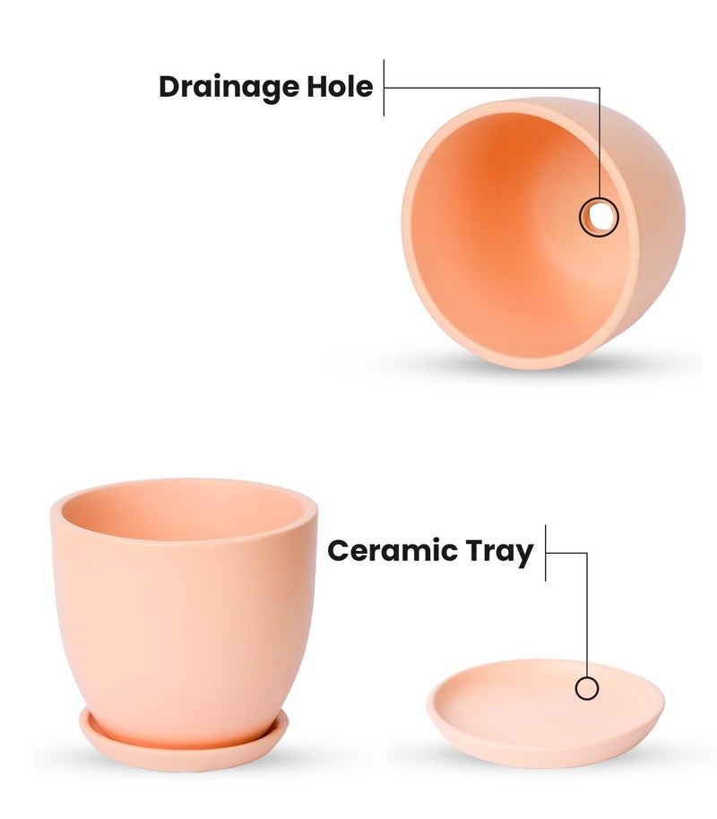 Nurturing Green® Set of 2 Modern Blush Pink Ceramic Pots for Home & Indoor Decor (Size: 5 Inch Wide | Comes with Bottom Plate) - [Plants are not Included] - Image 2
