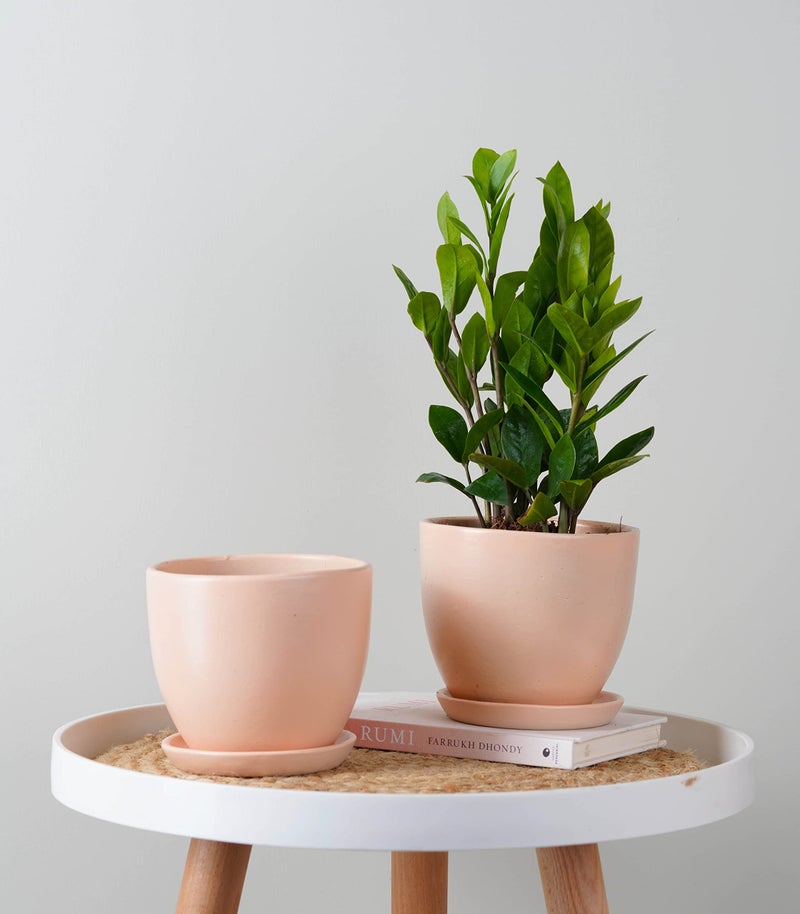 Nurturing Green® Set of 2 Modern Blush Pink Ceramic Pots for Home & Indoor Decor (Size: 5 Inch Wide | Comes with Bottom Plate) - [Plants are not Included] - Image 1